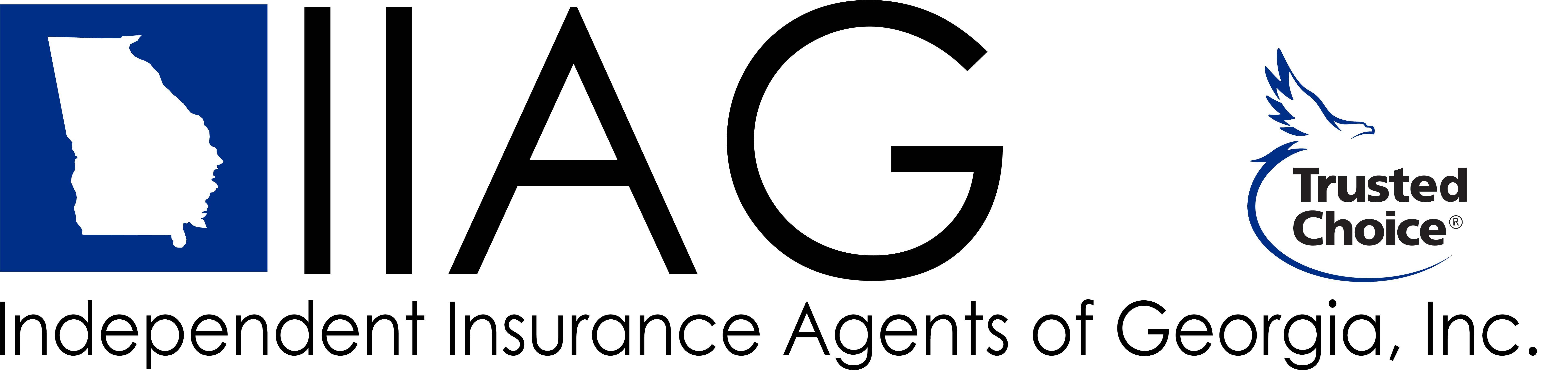 IIAG Logo