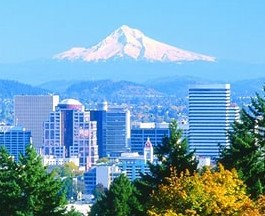Portland Oregon Area Chiropractic Practice for Sale
