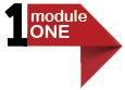 Module 1