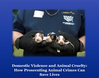 Domestic Violence and Animal Cruelty: How Prosecuting Animal Abuse Can Save Lives 2
