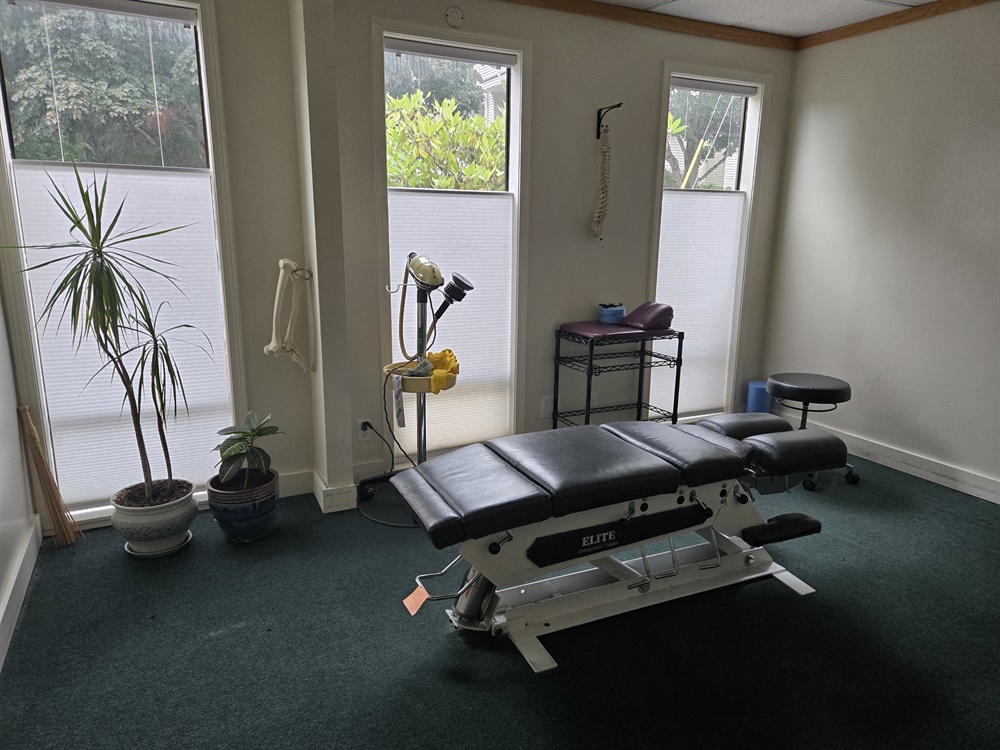 Chiropractic Drop Table