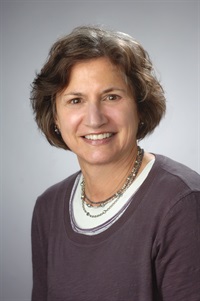 Linda Stone Fish, MSW, PhD's Profile