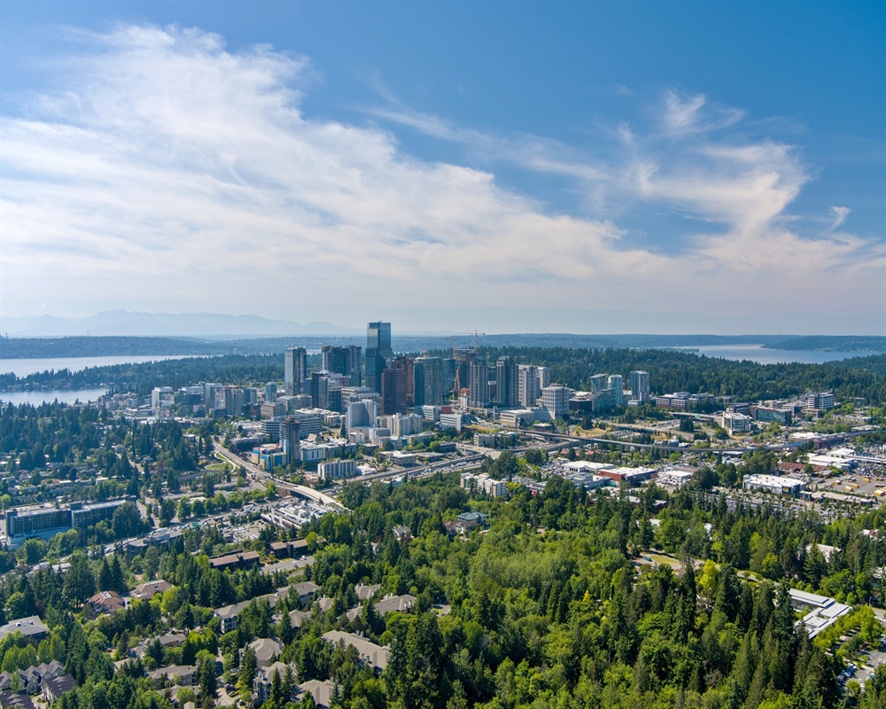 Profitable Chiropractic Practice for Sale in Bellevue WA