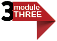 Module 3