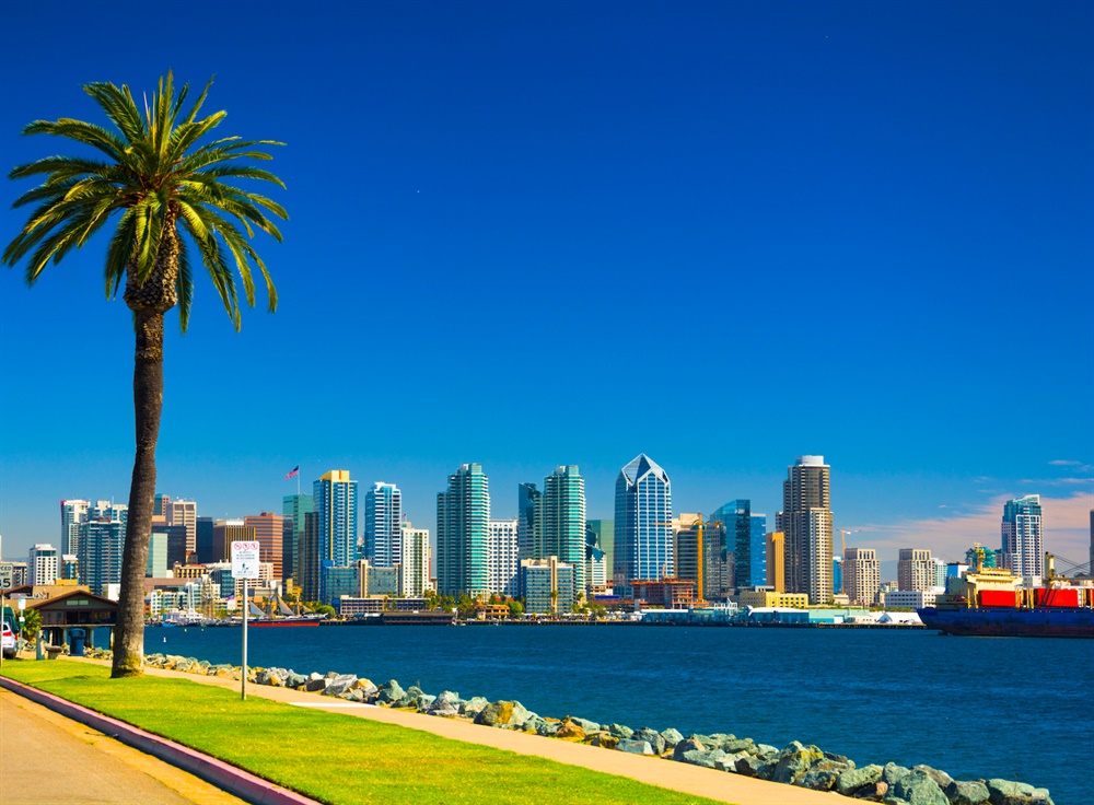 Established Chiropractic Practice for Sale in San Diego, CA