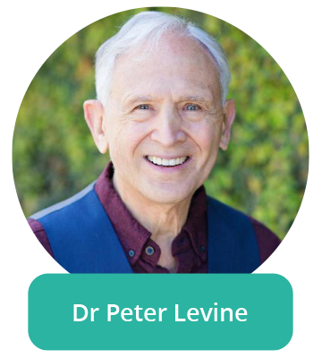 Making the invisible, visible: from hauntings to wholeness With Dr Peter Levine, PhD