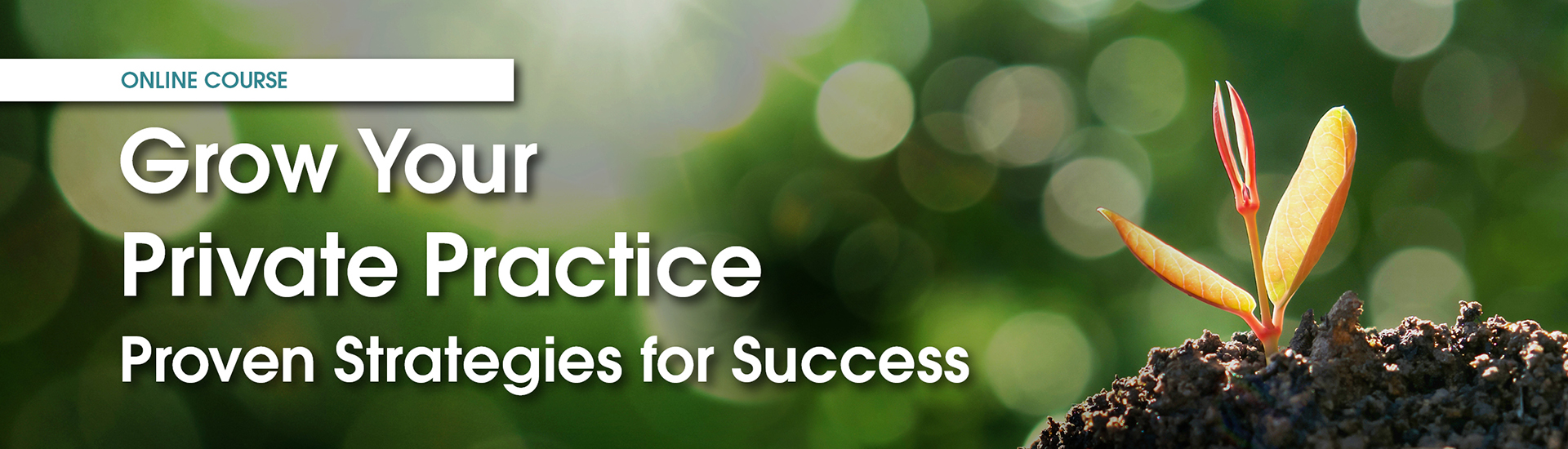 Grow Your Private Practice Online Course
