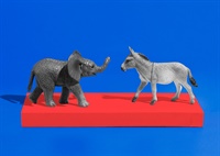 Image of Navigating Political Stress