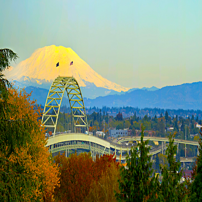 Portland OR Chiropractic Practice for Sale (Mostly PI)