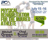 Physical Rehabilitation for the Injured Athlete 2