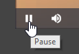 Pause Button