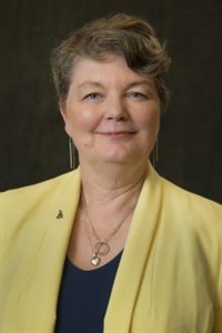 Barbara Glesner Fines's Profile