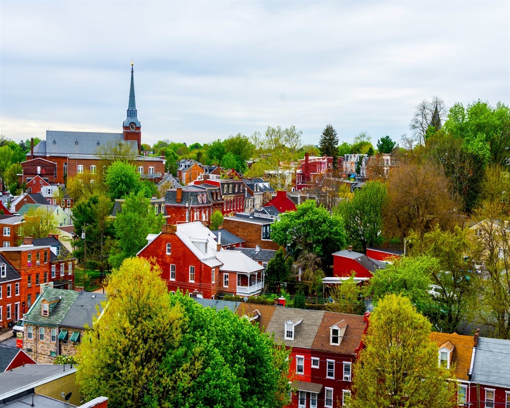 100% Cash Chiropractic Practice for Sale in Lancaster, PA