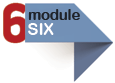 Module 6